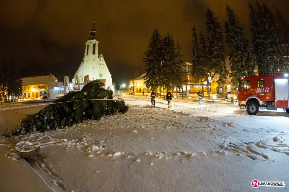 Silny wiatr przewrócił choinkę - zdjęcie 2
