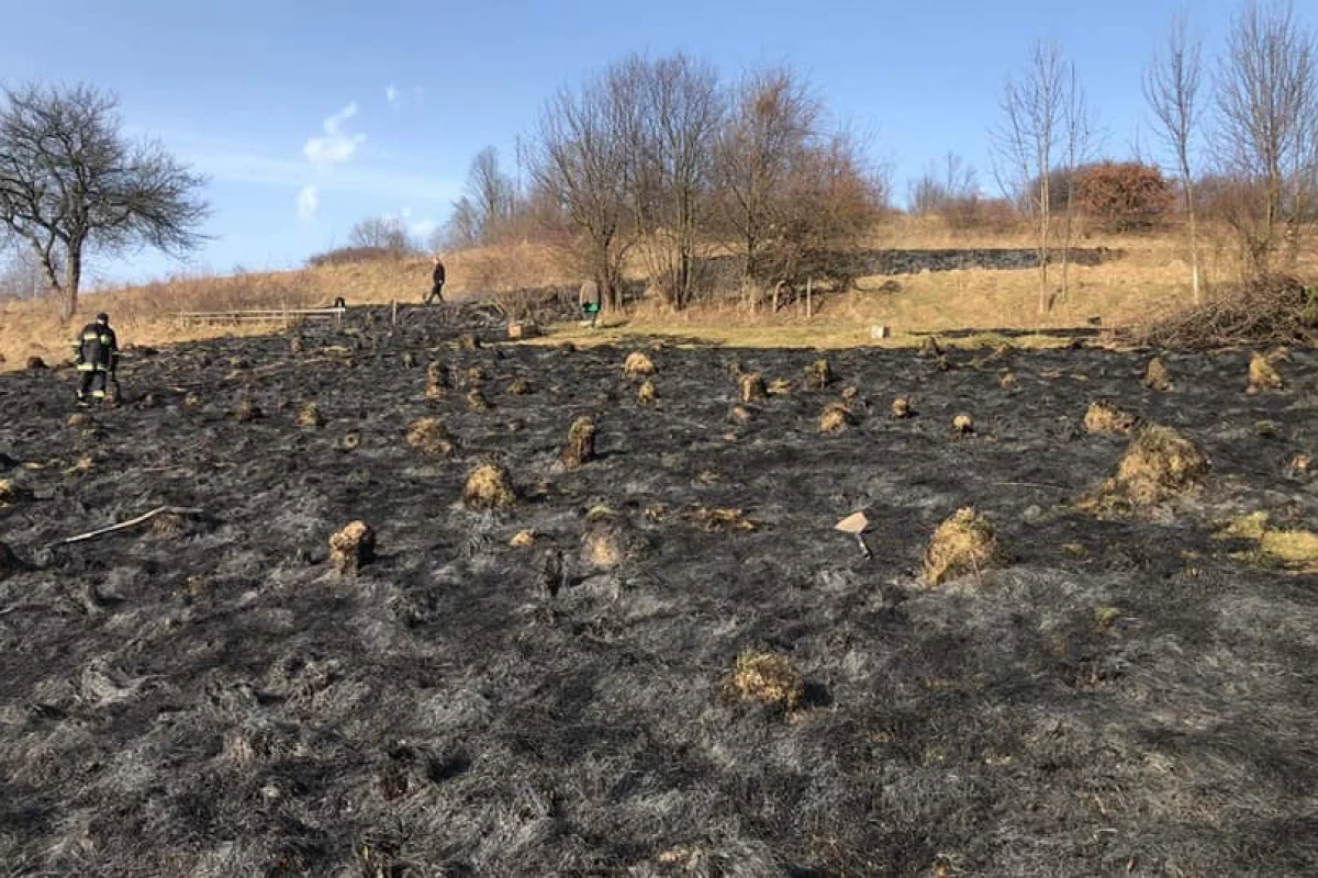 Niechlubna i niebezpieczna tradycja powtarzana także na Limanowszczyźnie