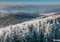 Uwaga na silny mróz - nawet do -20 st. C. - zdjęcie główne