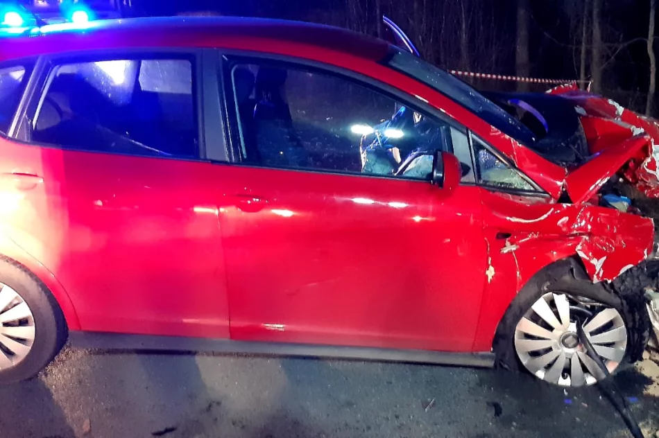 W wypadku zmarły dwie nastolatki, 19-latek walczy o życie w szpitalu - zdjęcie 7