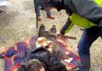 Akcja wolny bazar, w ruch poszedł młotek - zdjęcie główne