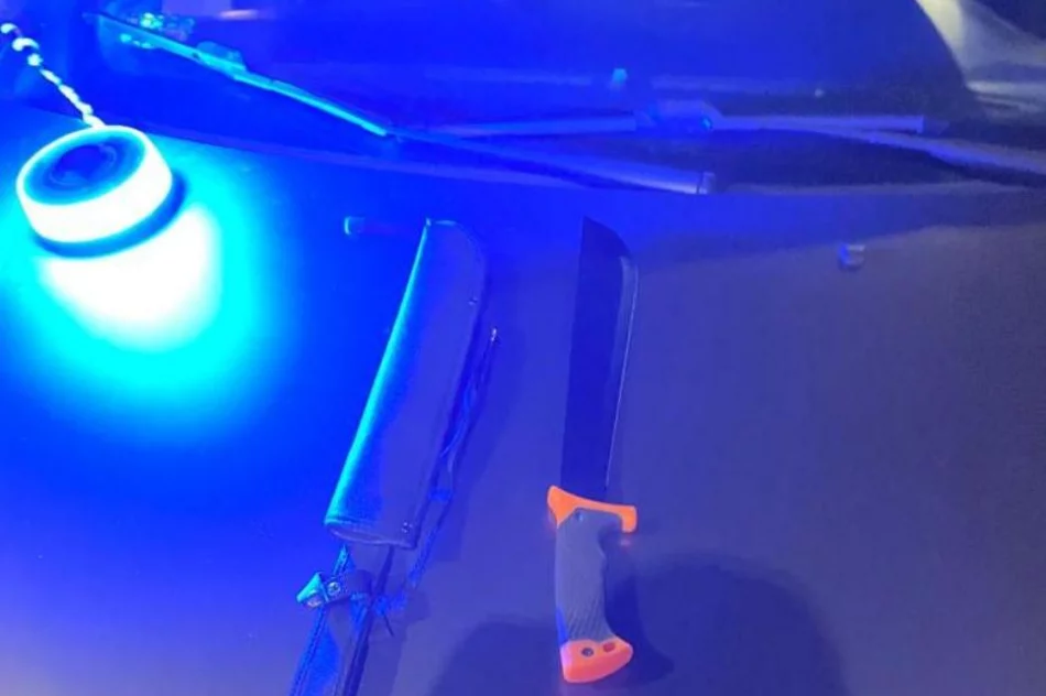 Poszukiwani za rozbój zatrzymani podczas pościgu. Radiowóz zepchnął Mercedesa z jezdni - zdjęcie 3