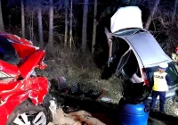 Policjanci szukają świadków wypadku, w którym zginęły dwie nastolatki - zdjęcie główne