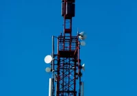 Szczur sparaliżował pół Małopolski - zdjęcie główne