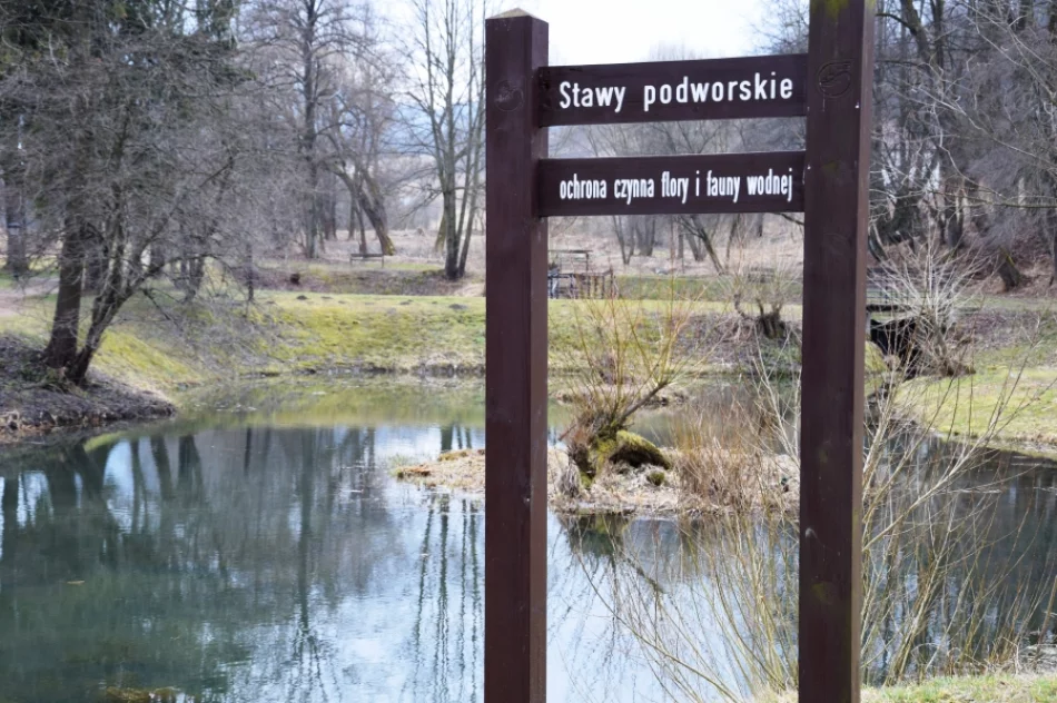 Dziedzictwo przyrodnicze regionu magnesem na turystów - zdjęcie 13