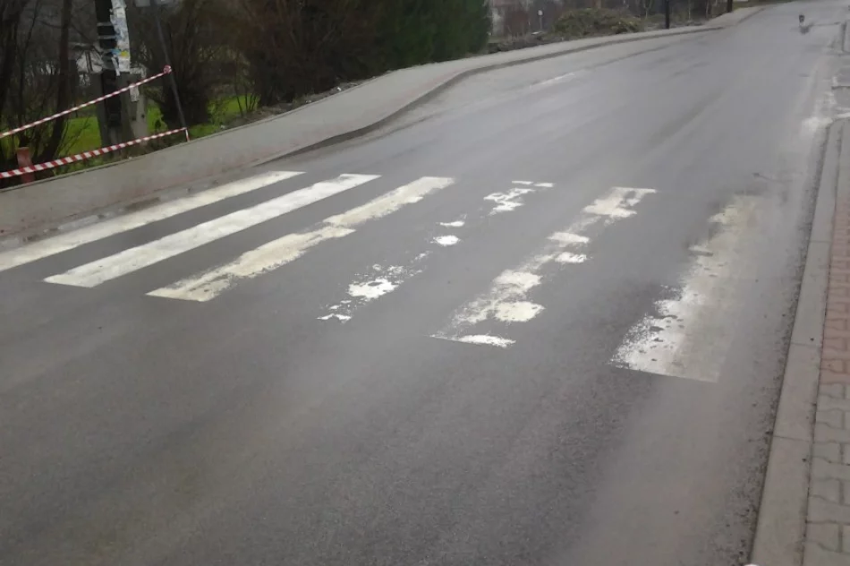 Fotointerwencja: najszybciej znikające pasy - zdjęcie 2