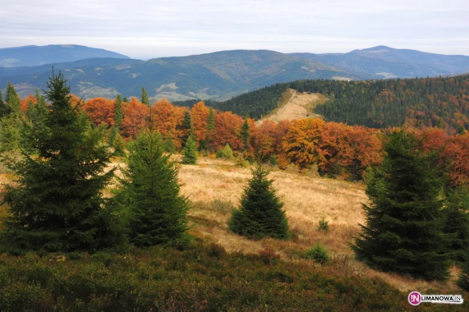 Gorce w Naturze 2000 - zdjęcie 2