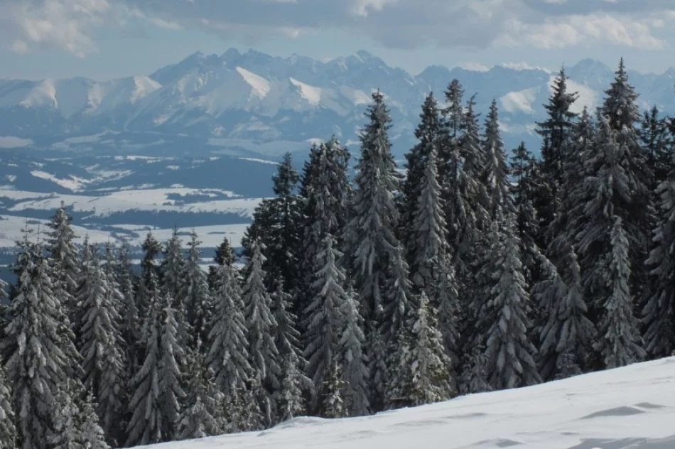Gorce w Naturze 2000 - zdjęcie 3
