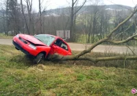 Samochód wypadł z jezdni i uderzył w drzewo - zdjęcie główne