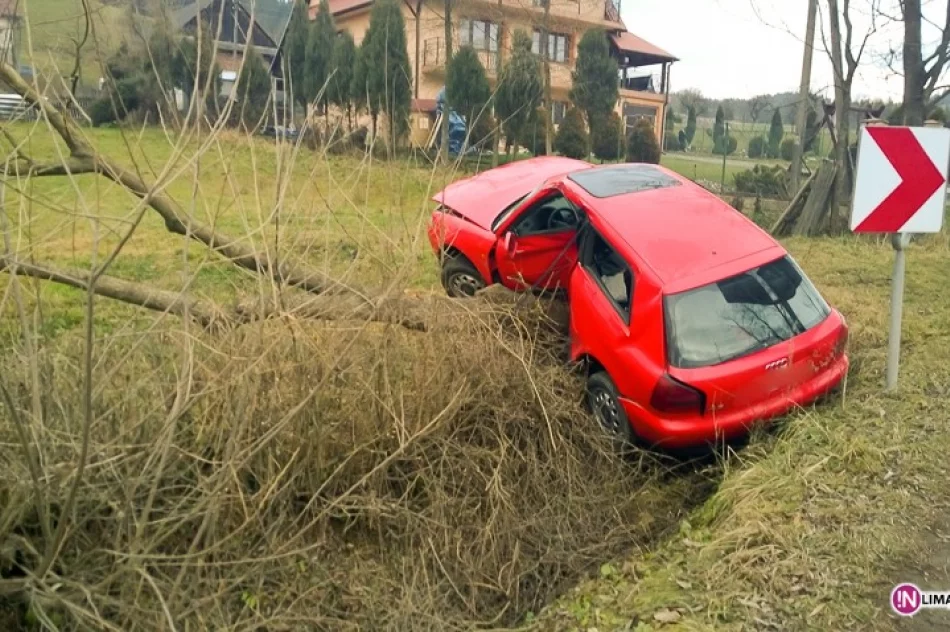Samochód wypadł z jezdni i uderzył w drzewo - zdjęcie 2