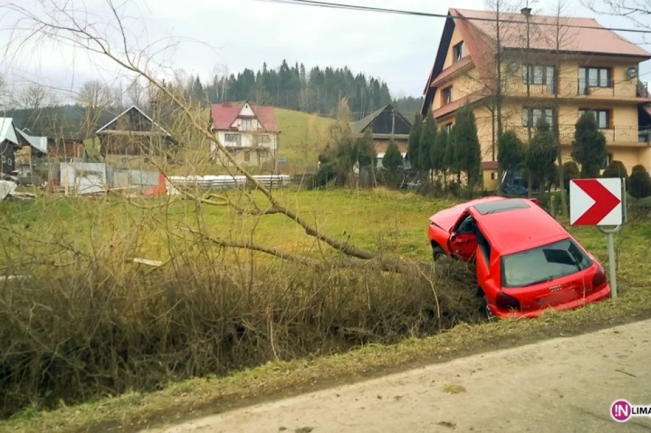 Samochód wypadł z jezdni i uderzył w drzewo - zdjęcie 3