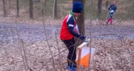 MISTRZOSTWA MAŁOPOLSKI W BIEGU NA ORIENTACJĘ - WIELICZKA / NAWOJOWA GÓRA  - zdjęcie 3