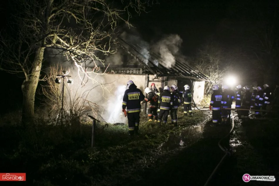 Doszczętnie spłonął budynek gospodarczy - zdjęcie 4