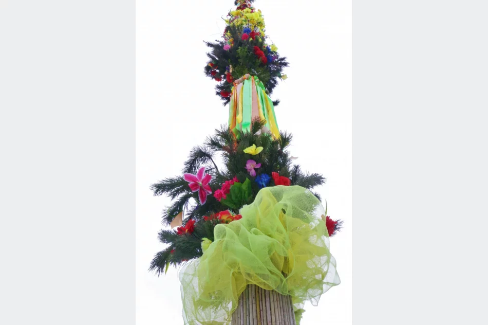 Wielkanocna Palma stanęła na limanowskim rynku - zdjęcie 8