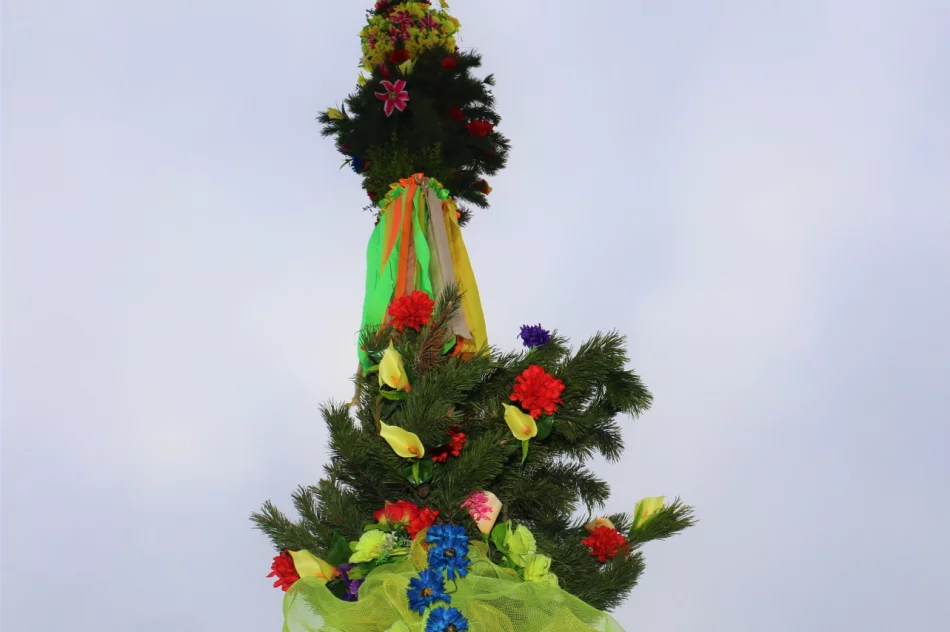 Wielkanocna Palma stanęła na limanowskim rynku - zdjęcie 11