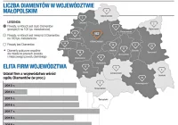 Sześć lokalnych firm "Diamentami" Forbesa - zdjęcie główne