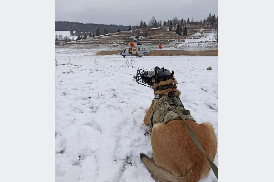 8 dni wspólnego szkolenia w powietrzu - zdjęcie 10