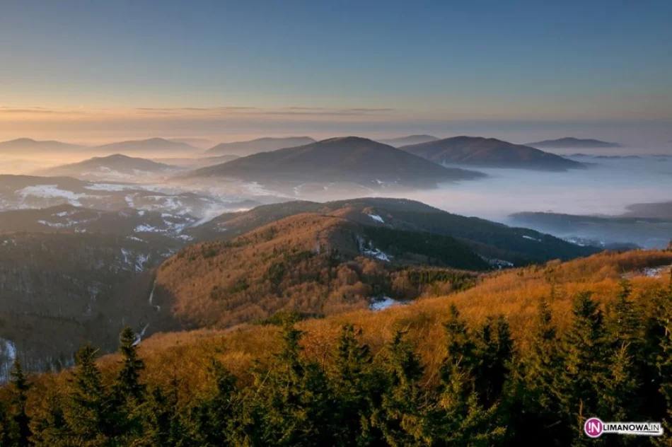 Uwaga kierowcy: mgły i śliskie drogi - może wystąpić gołoledź - zdjęcie 2