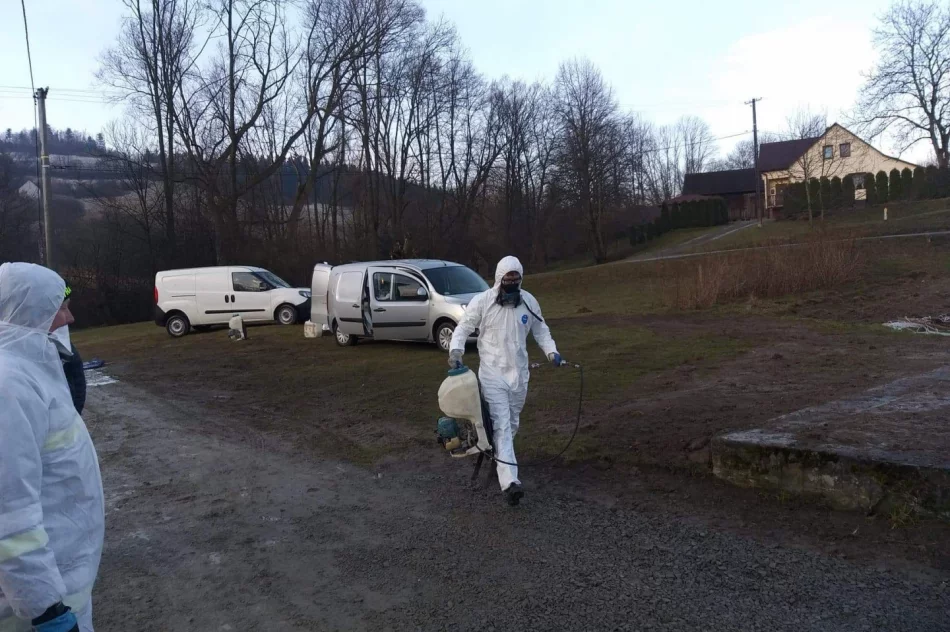 Zutylizowano 19 tysięcy kur w związku z ptasią grypą - zdjęcie 2