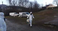 Zutylizowano 19 tysięcy kur w związku z ptasią grypą - zdjęcie 2