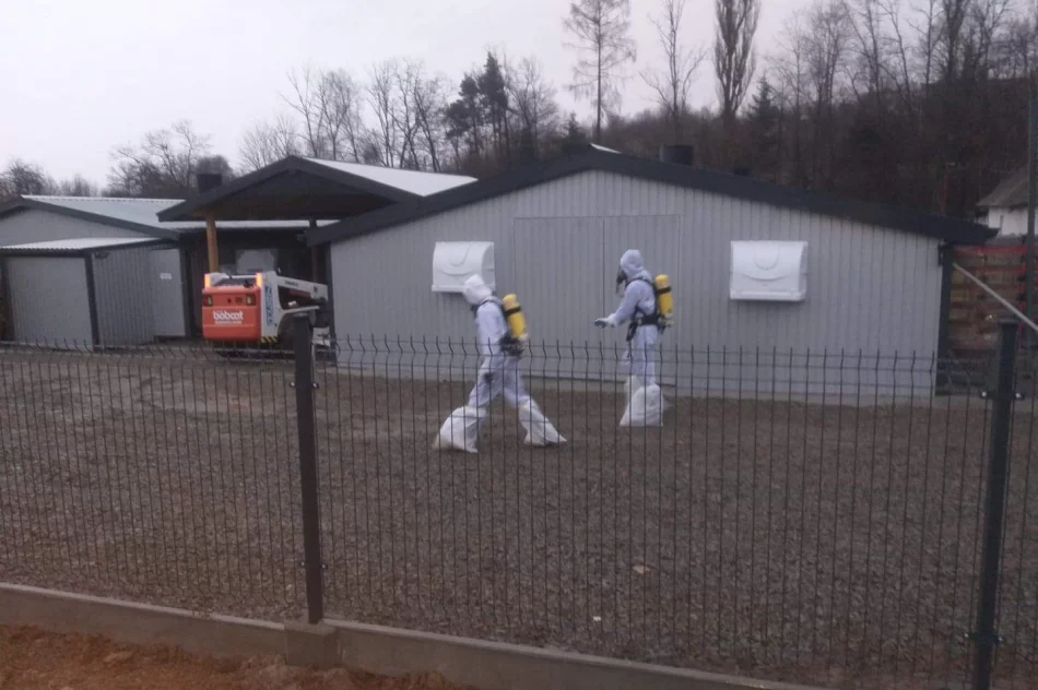 Zutylizowano 19 tysięcy kur w związku z ptasią grypą - zdjęcie 3