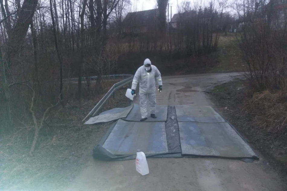 Zutylizowano 19 tysięcy kur w związku z ptasią grypą - zdjęcie 4