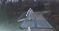 Zutylizowano 19 tysięcy kur w związku z ptasią grypą - zdjęcie 4