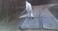 Zutylizowano 19 tysięcy kur w związku z ptasią grypą - zdjęcie 5