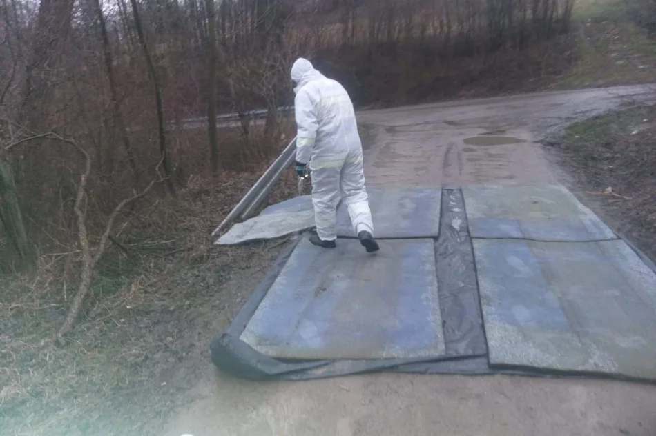 Zutylizowano 19 tysięcy kur w związku z ptasią grypą - zdjęcie 5