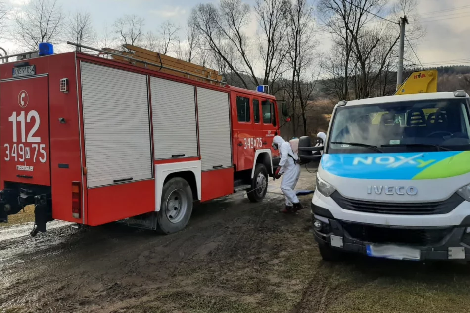 Zutylizowano 19 tysięcy kur w związku z ptasią grypą - zdjęcie 6