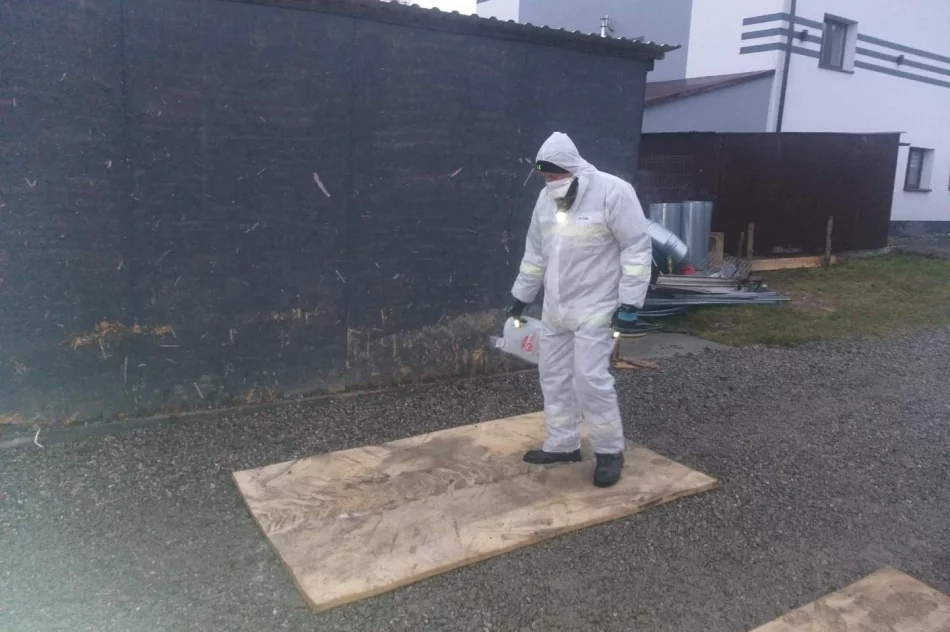 Zutylizowano 19 tysięcy kur w związku z ptasią grypą - zdjęcie 7