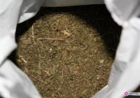 21-latek poddał się dobrowolnie karze - zdjęcie główne