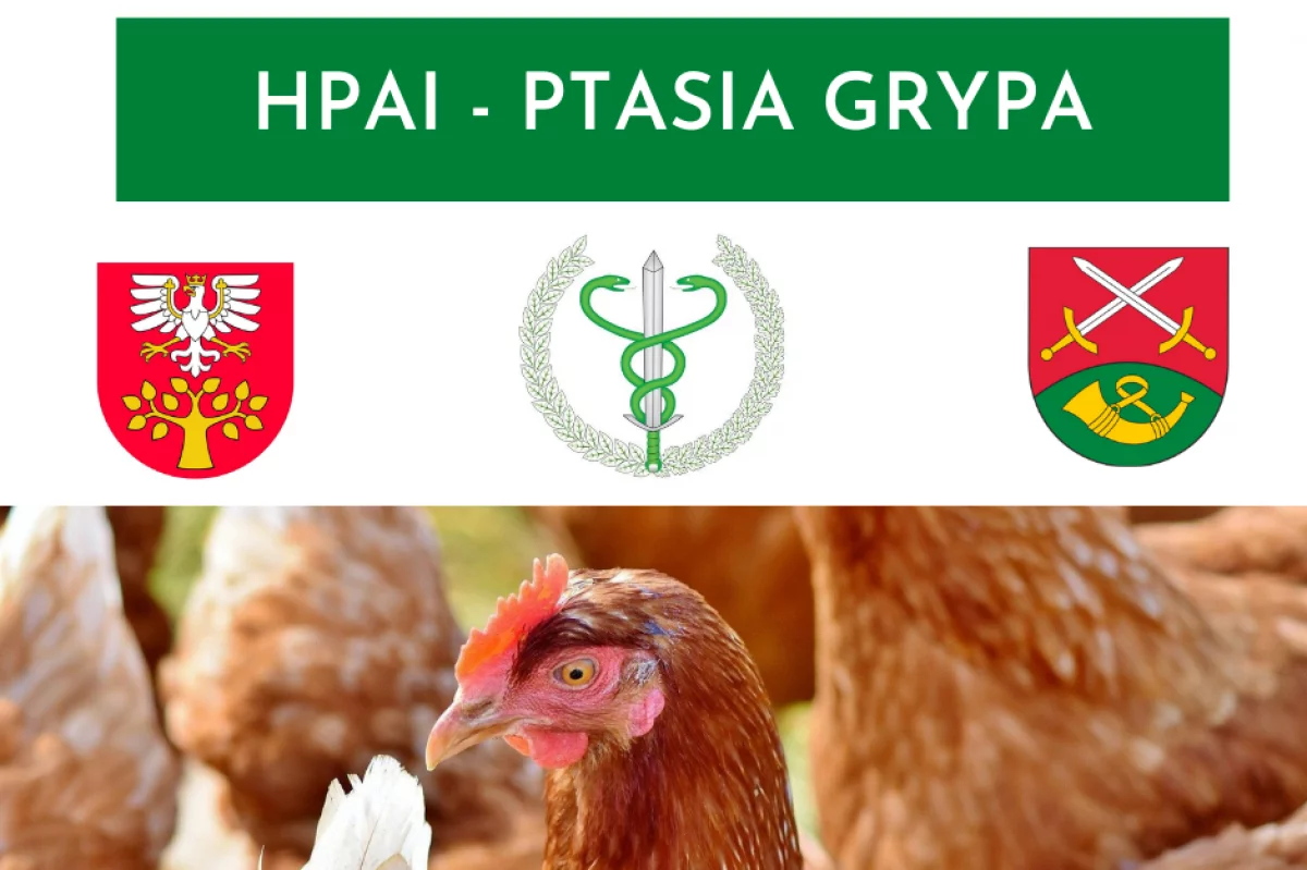 Ptasia Grypa HPAI- teren zapowietrzony w gminie Limanowa 