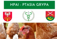 Ptasia Grypa HPAI- teren zapowietrzony w gminie Limanowa  - zdjęcie główne