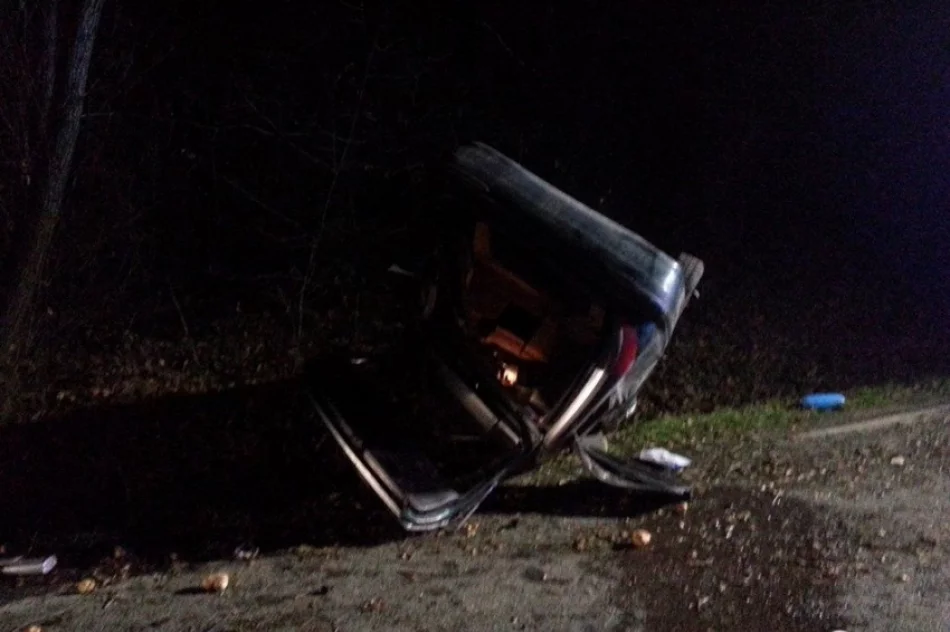 Samochód uderzył w drzewo i dachował - zdjęcie 2