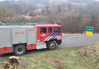 Został wyznaczony obszar zapowietrzony i obszar zagrożony w związku z ogniskiem ptasiej grypy - zdjęcie główne