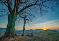 Transmisja Liturgii Męki Pańskiej  - zdjęcie główne