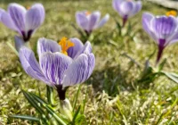 Prognoza pogody na Święta i kolejne dni. W weekend nawet +23 st. C! - zdjęcie główne