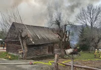 Pożar zabudowań gospodarczych gasiło 9 zastępów straży pożarnej - zdjęcie główne