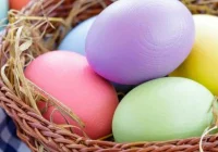 Etnograf o symbolach wielkanocnych: palmie, jajku, soli - zdjęcie główne