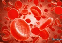 Pilny apel o pomoc: Waldemar Smaga  w ciężkim stanie potrzebuje krwi! - zdjęcie główne