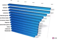 Wybory on-line: szef PKW podał się do dymisji - zdjęcie główne