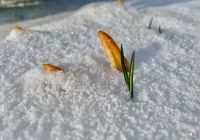 Chwila wiosny, bo aż +16 st. C, jutro śnieg - zdjęcie główne