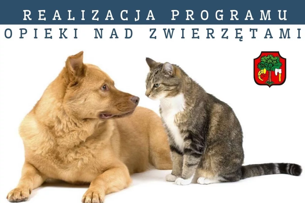 Realizacja Programu opieki nad zwierzętami bezdomnymi w Mieście Limanowa