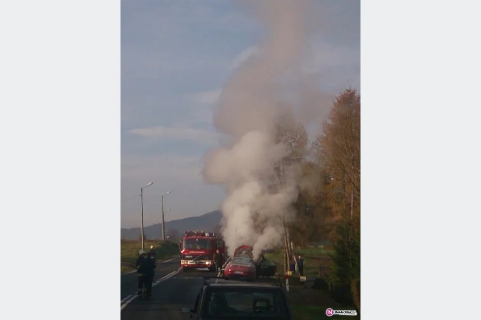 Pożar samochodu na 'krajówce' - zdjęcie 4