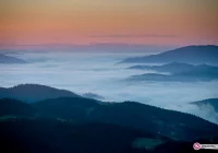 Uwaga, ostrzeżenie o silnej mgle - zdjęcie główne