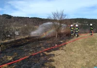 Stop pożarom traw i lasów - strażacy ponawiają apel - zdjęcie główne