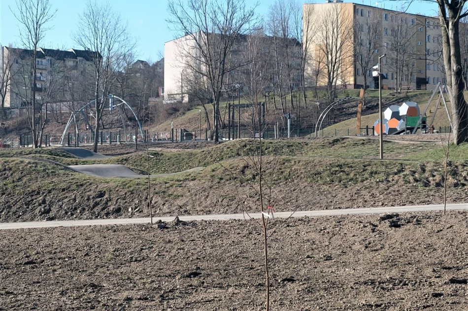 Prace w parku miejskim i w rejonie potoku Jabłonieckiego – na ukończeniu - zdjęcie 5