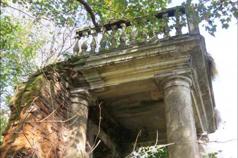 Co dalej z zakupionym dworem w Mordarce? - zdjęcie 2