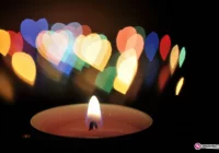 Wspominamy tych, którzy odeszli - zdjęcie główne